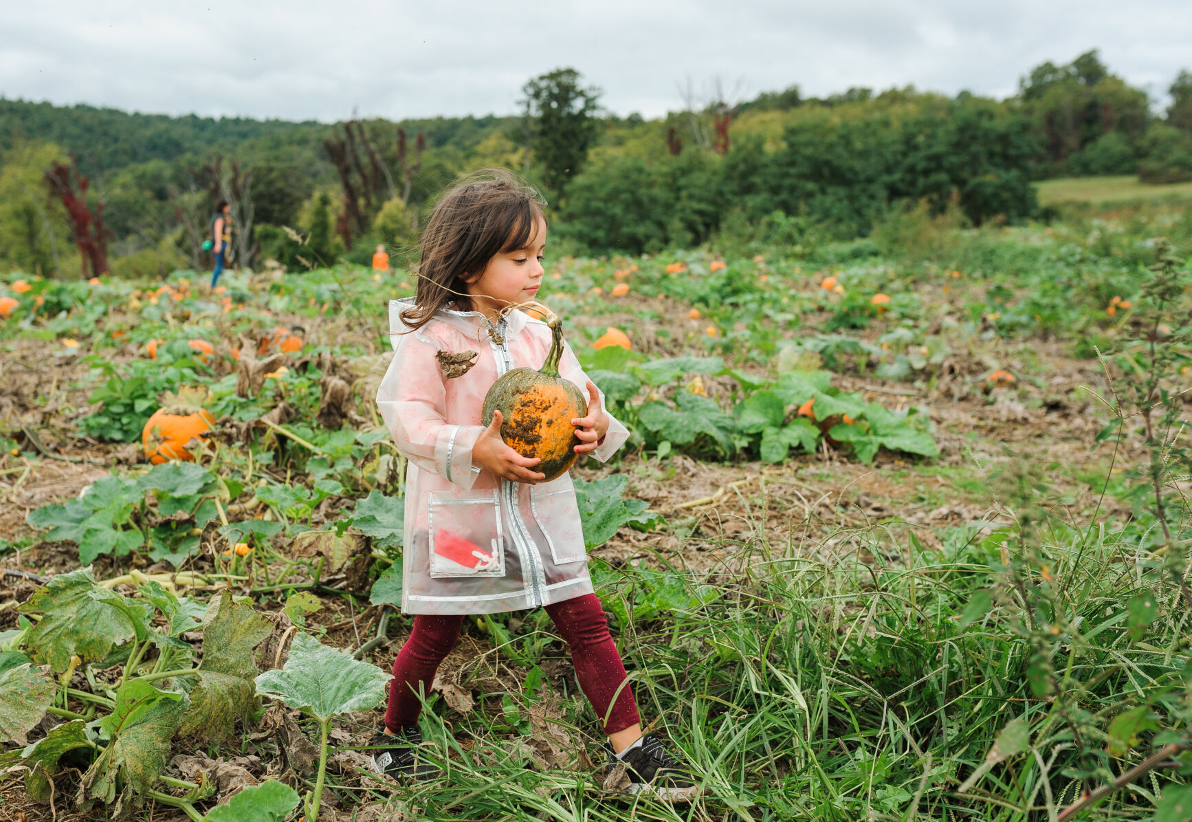 photo_ft_news_Hollin Farms-5_20211009.jpg